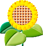 plant011